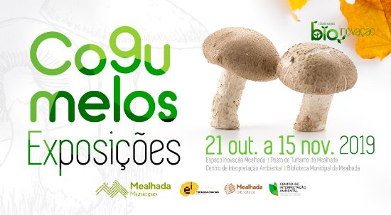 Exposições sobre cogumelos integram ciclo BioInovação